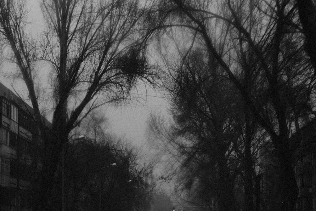trees in front of a building