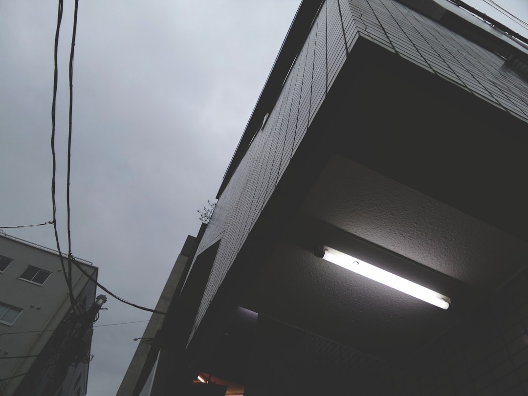 turned-on fluorescent lamp