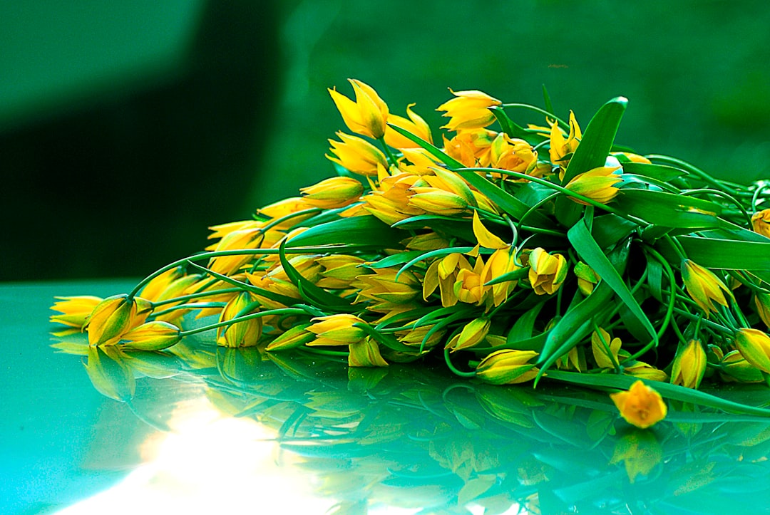 a bunch of yellow flowers